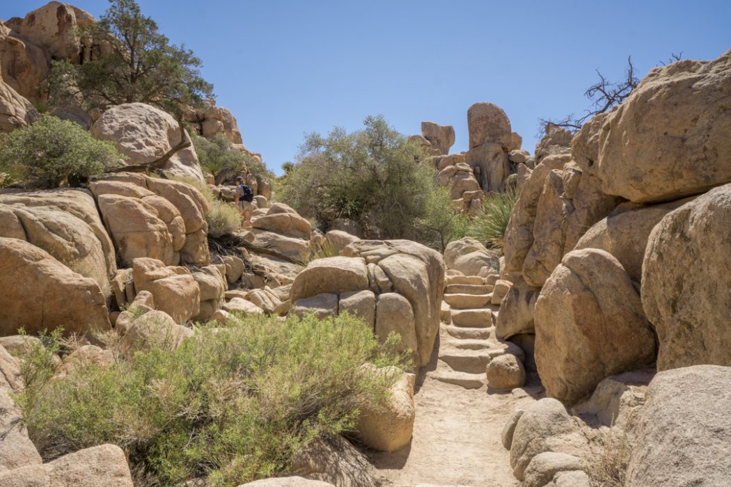 Joshua Tree Park California-5