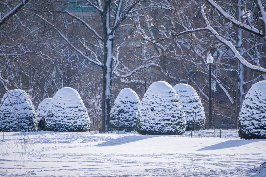 Boston hiver neige-17