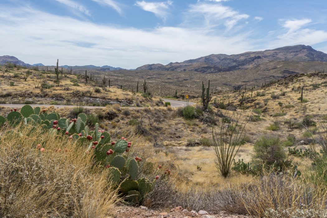 Apache Trail Arizona-2