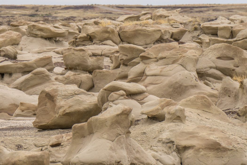 Bisti Badlands Nouveau Mexique-6