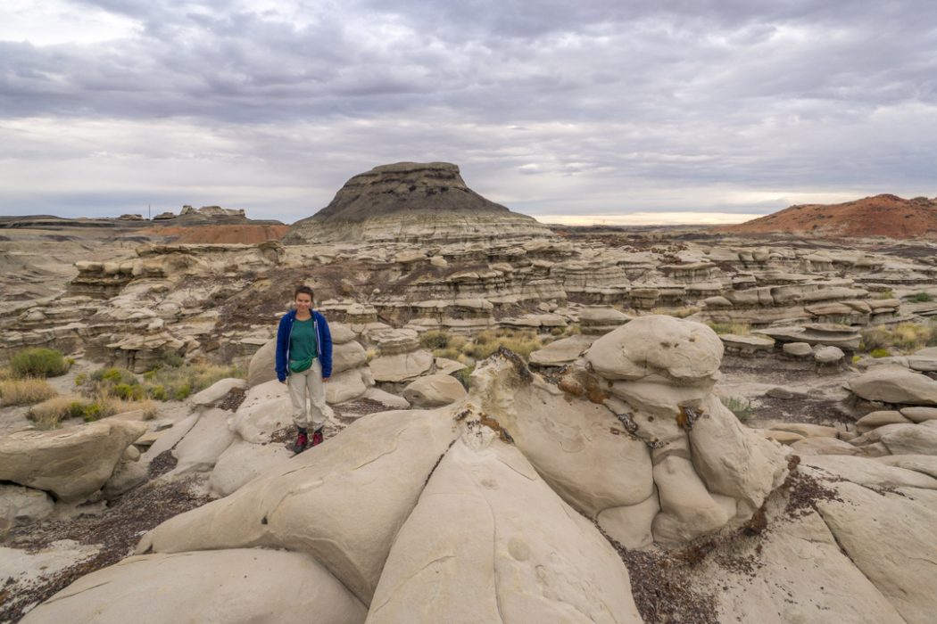 Bisti Badlands Nouveau Mexique-8