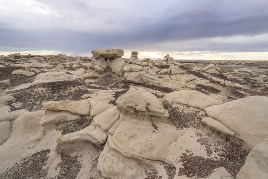 Bisti Badlands Nouveau Mexique-9