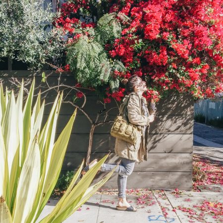 Bougainvillés Venice Beach Los Angeles California-17