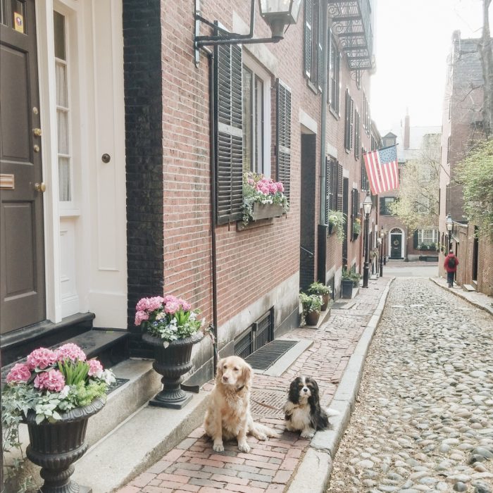 Acorn Street Monday Morning Boston-4