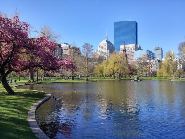 back bay printemps boston