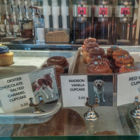 Visiter Boston- cupcakes au nom de chien