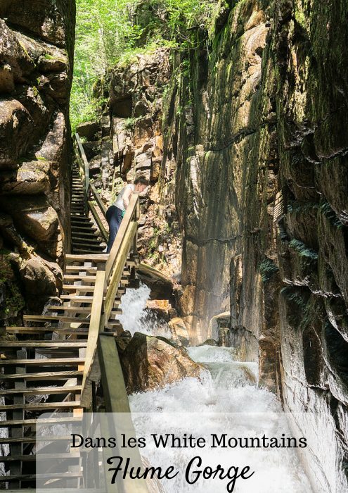 Au fond de la gorge Flume, dans les White Mountains