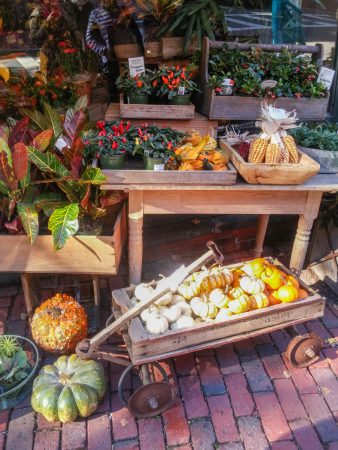 boston pumpkin