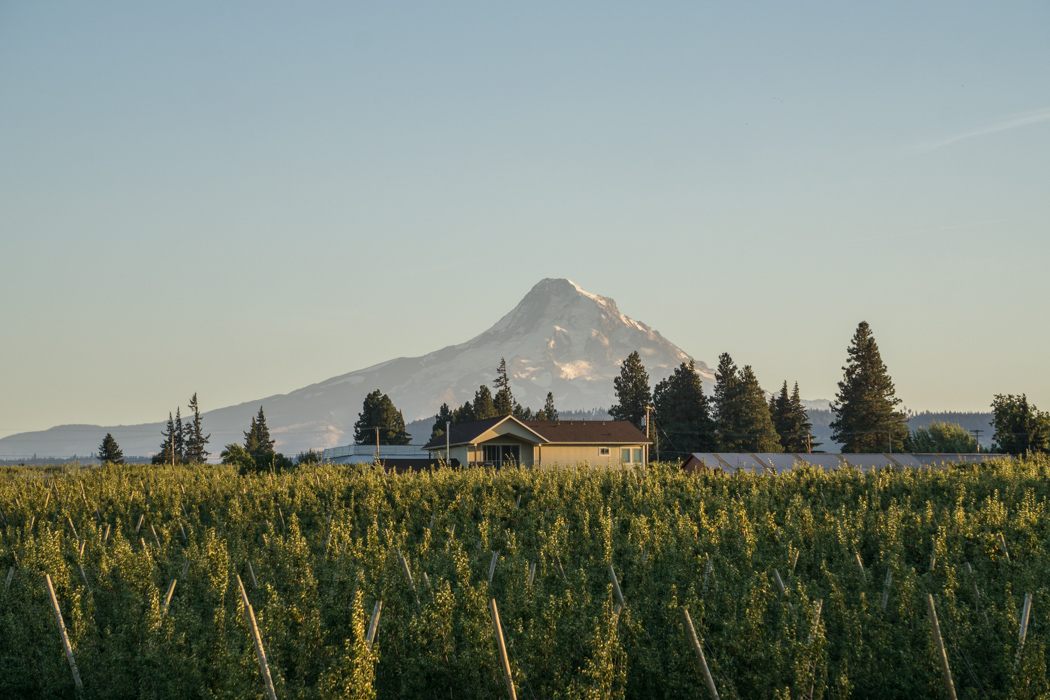 mt-hood-oregon-1