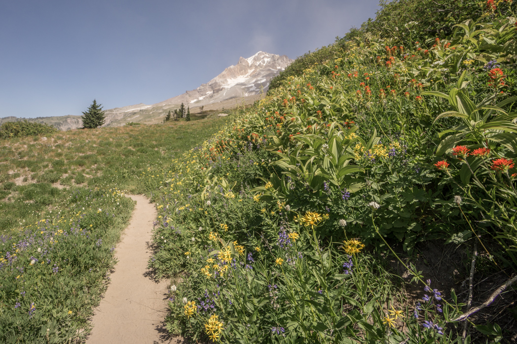 mt-hood-oregon-17