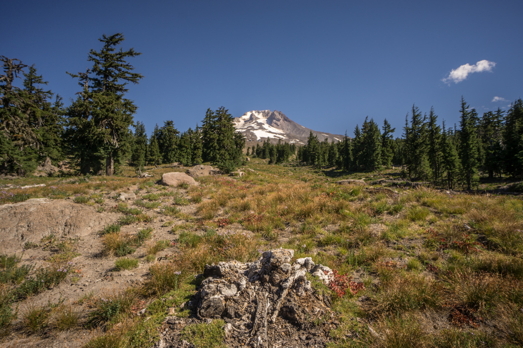 mt-hood-oregon-5