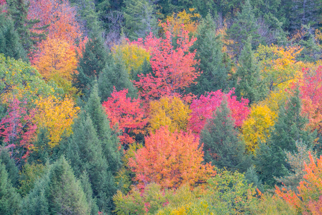 vermont-automne-nouvelle-angleterre-fall-foliage-20