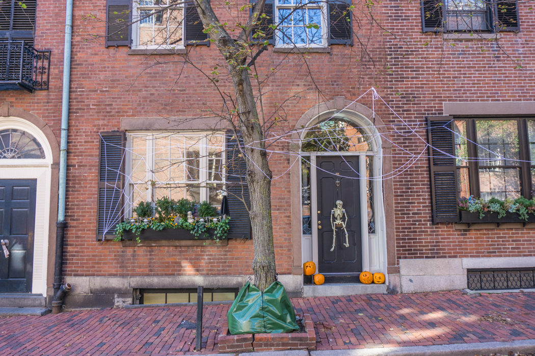 Quelques images de Halloween à Boston Le blog de Mathilde