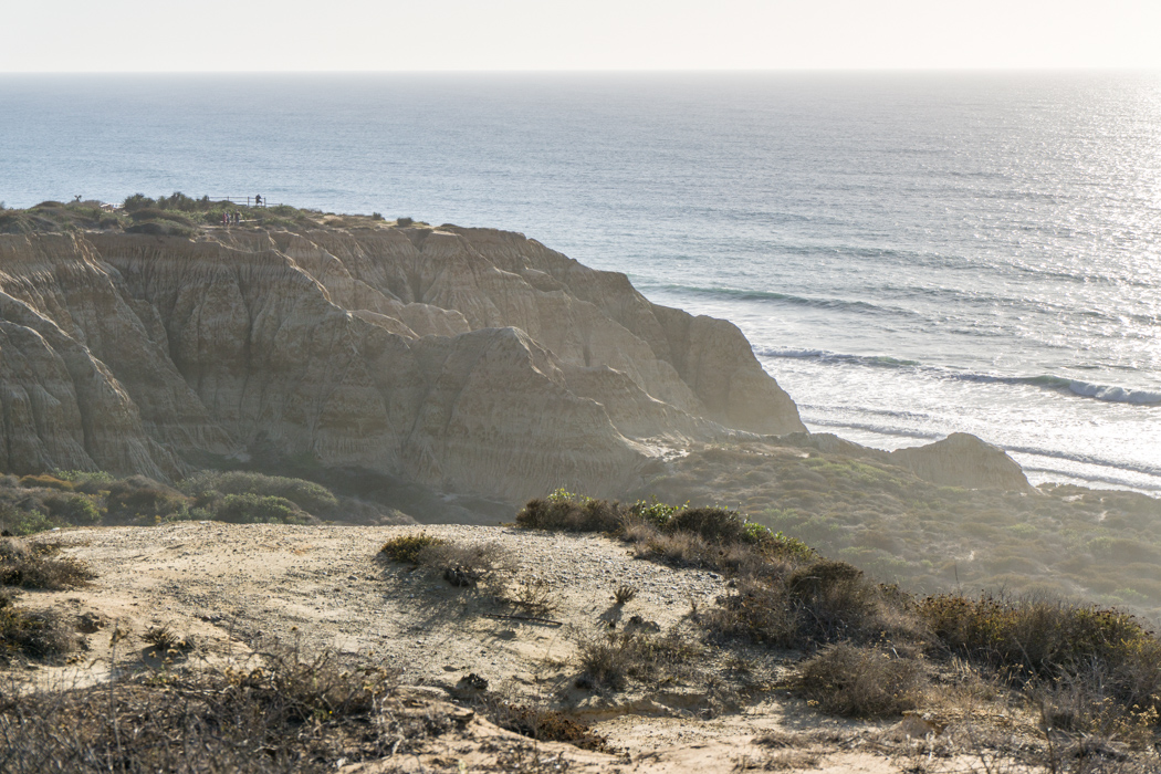 san-diego-californie-torrey-pines-plage-11