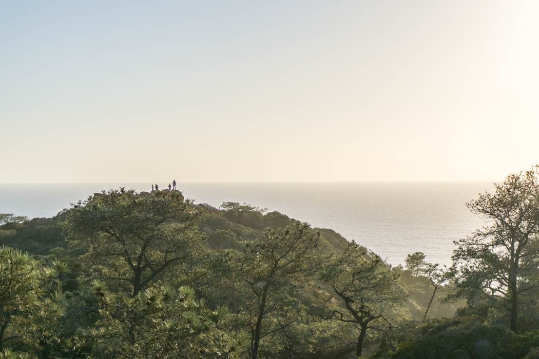 san-diego-californie-torrey-pines-plage-16