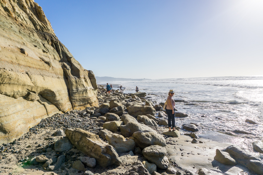 san-diego-californie-torrey-pines-plage-3