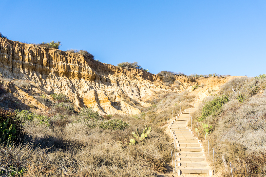 san-diego-californie-torrey-pines-plage-8