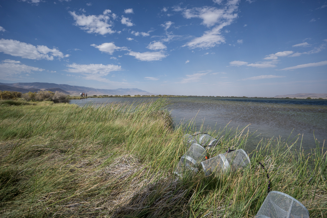 steen-mountain-alvord-desert-oregon-18