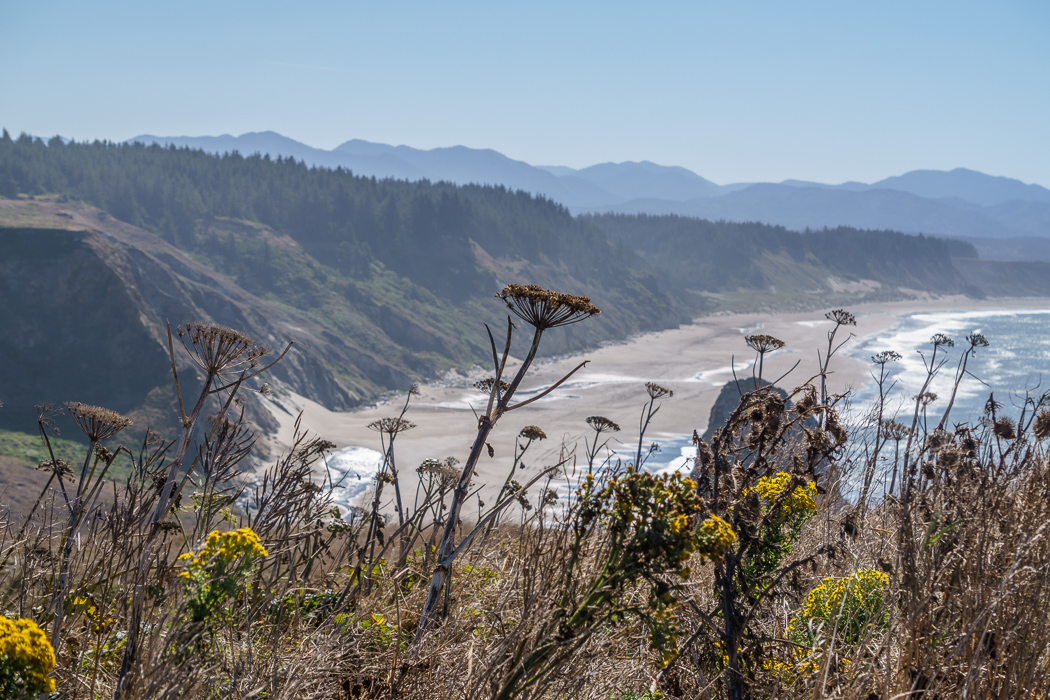 cote-pacifique-oregon-8