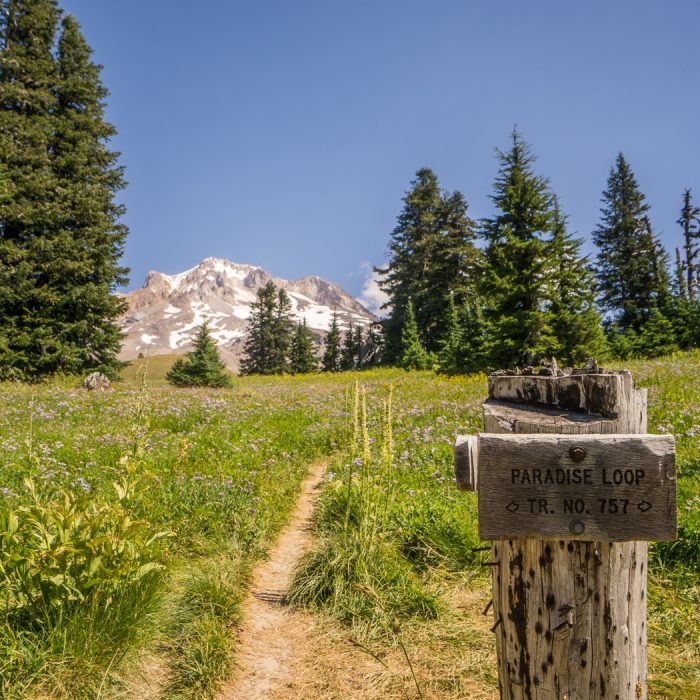 mt-hood-oregon-1