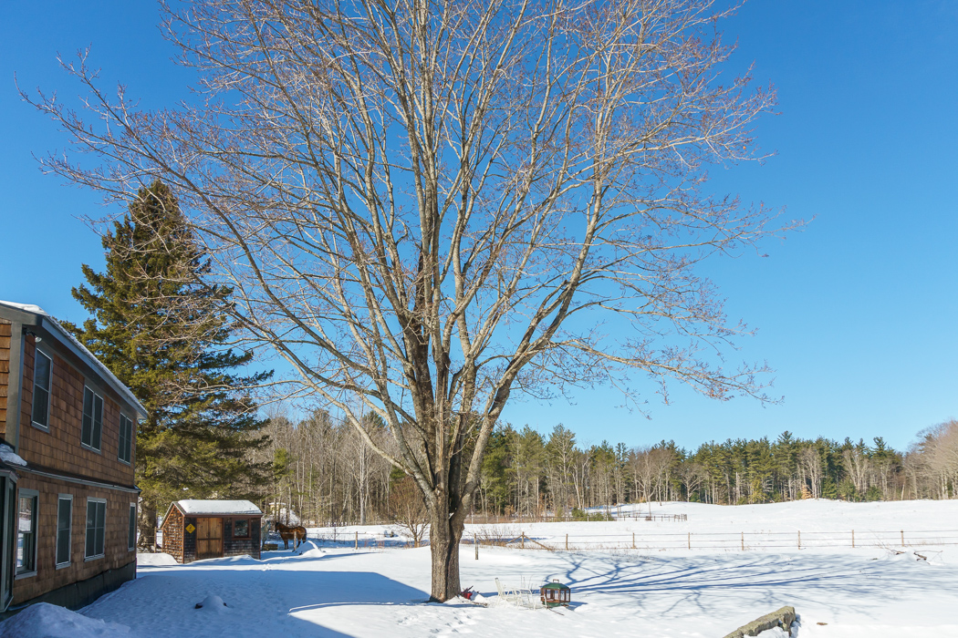 New Hampshire ski-3