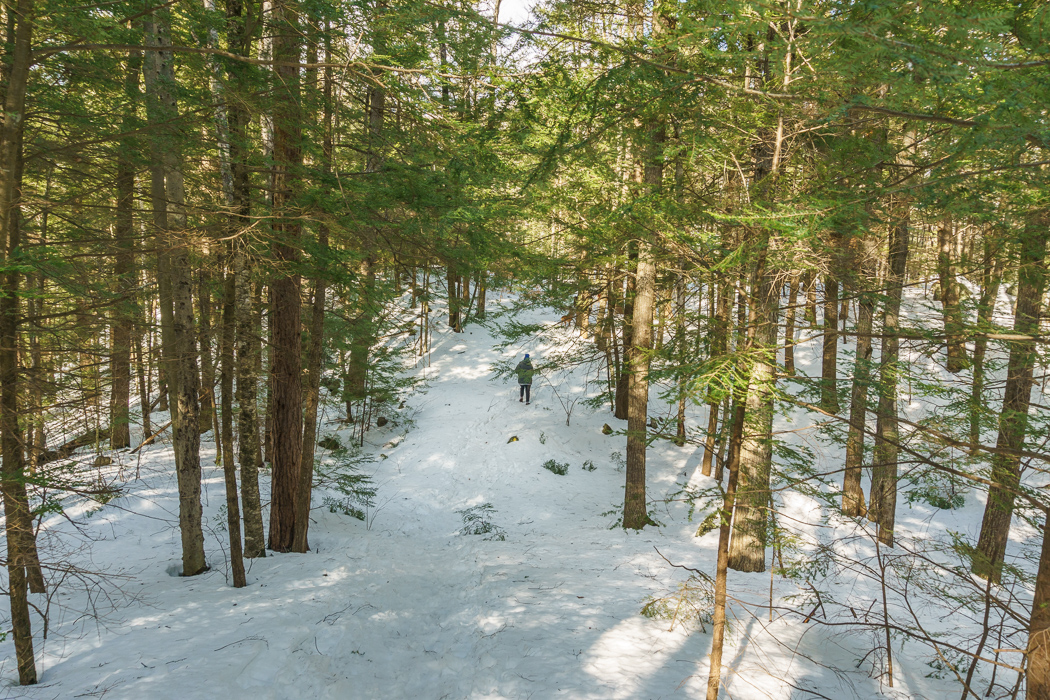 New Hampshire ski-4