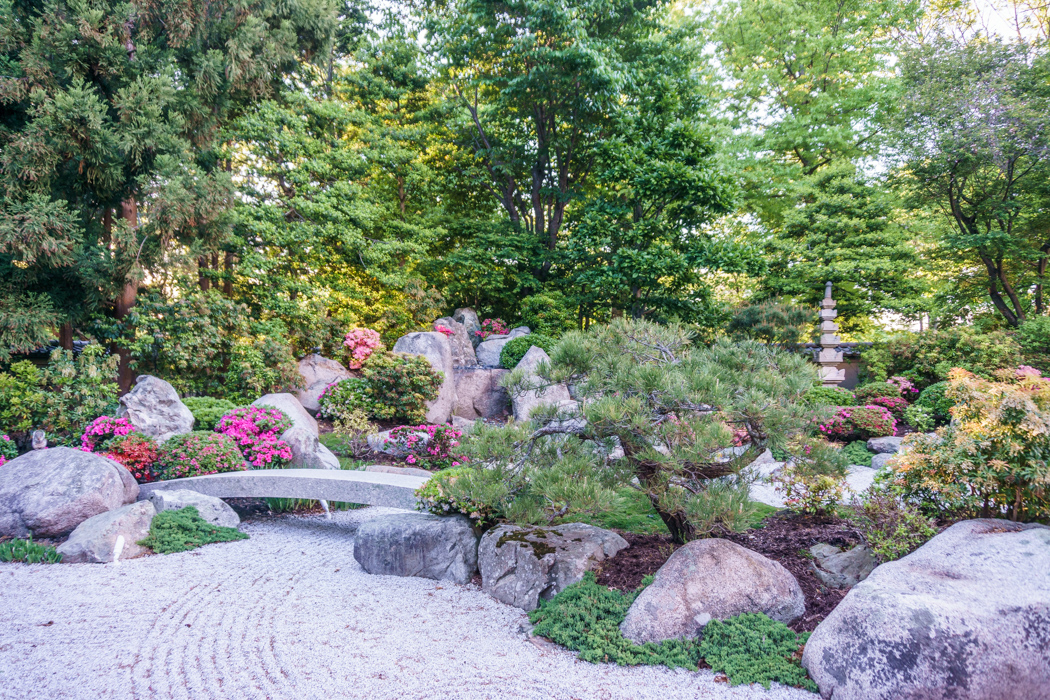 Boston MFA Jardin Japonais