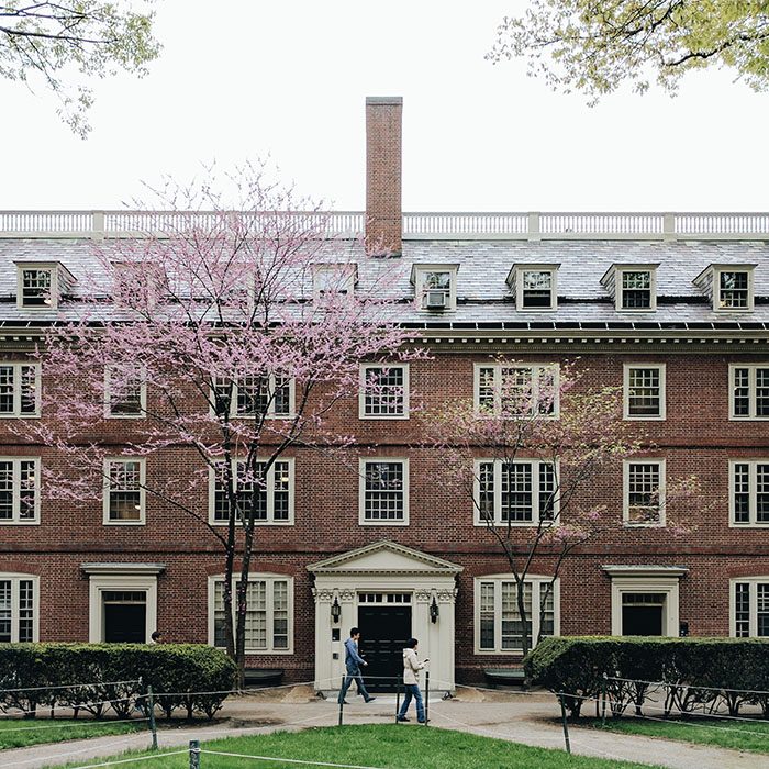 Harvard Yard