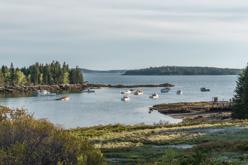 Maine Deer Isle-24