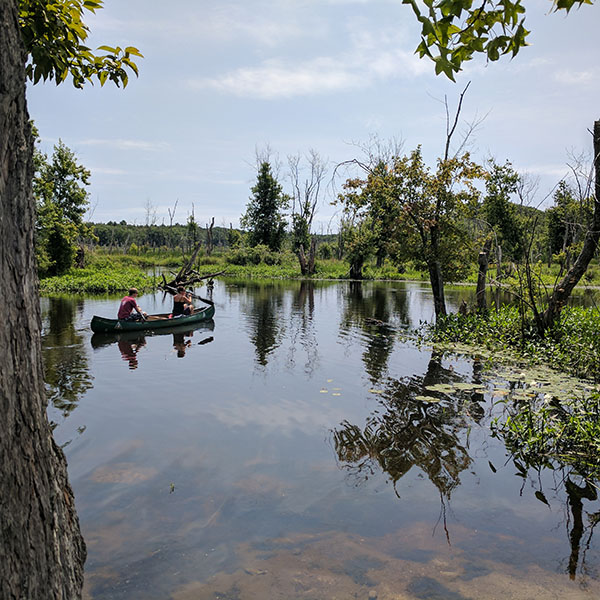 Marsh Massachusetts