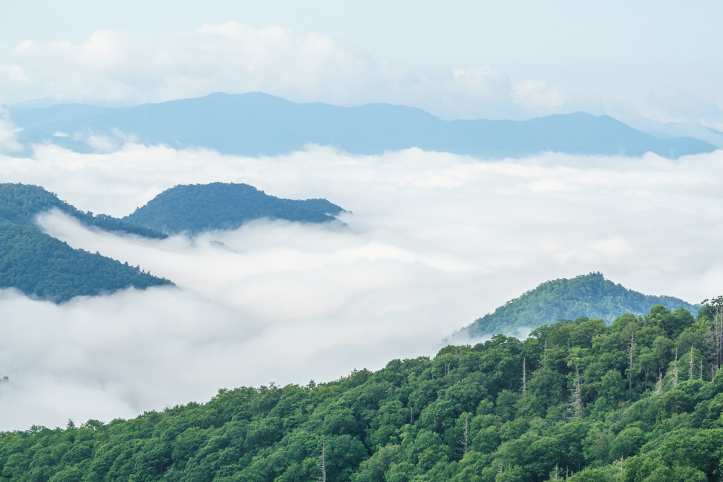 Smoky Mountains Asheville-2
