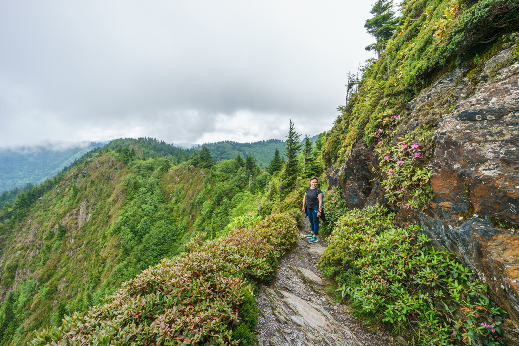 Smoky Mountains Asheville-3