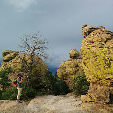 chiricahua arizona