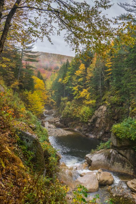 Fall Foliage Vermont (5 of 6)