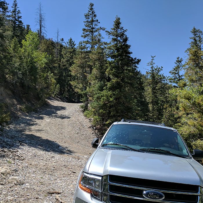 Nevada road trip suv