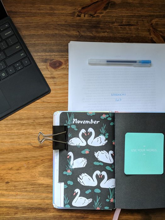nanowrimo