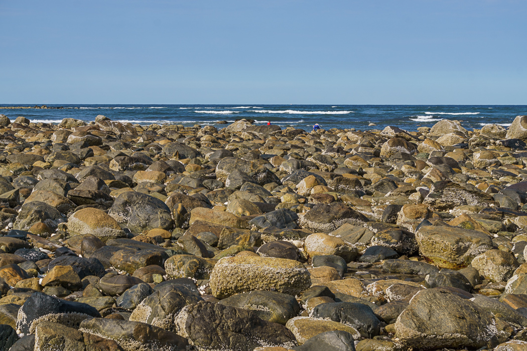 Crane Beach Massachusetts-1
