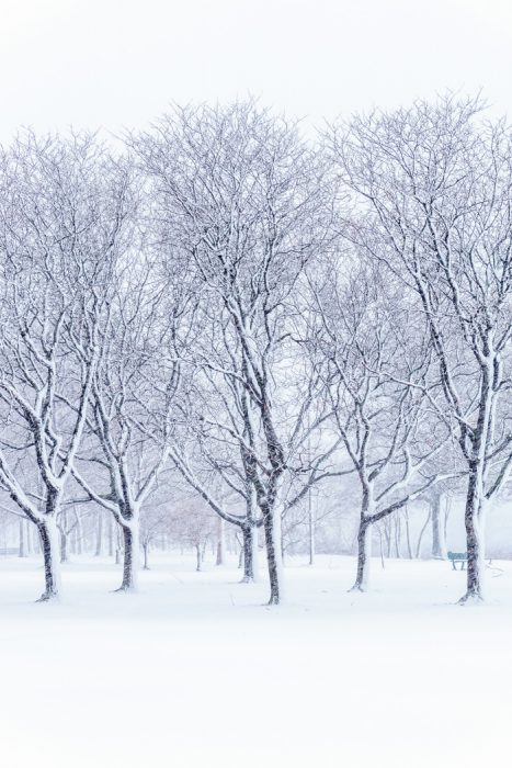 Tempete Boston Mars-2