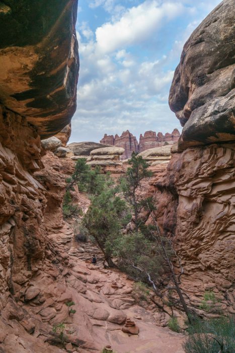 Canyonlands The Needles Utah-5