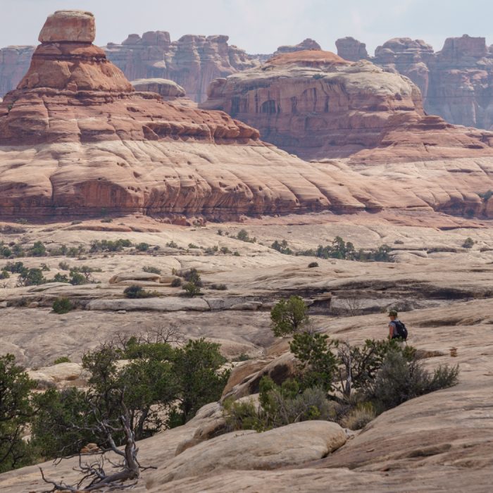 Canyonlands The Needles Utah-1-2