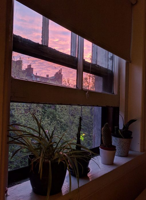 Matin rose Boston