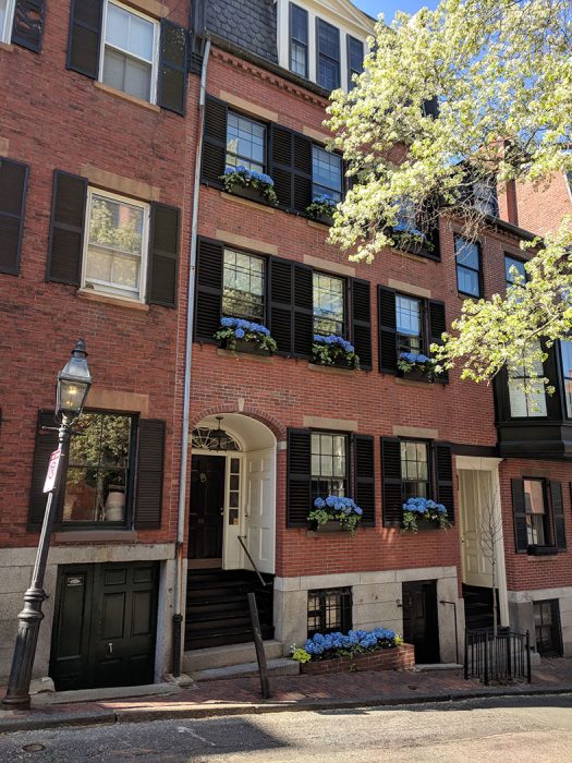 Printemps Boston Beacon Hill
